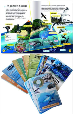 Integrar la sombra Indigo. Su guia personal - Indigo Flores (autor)