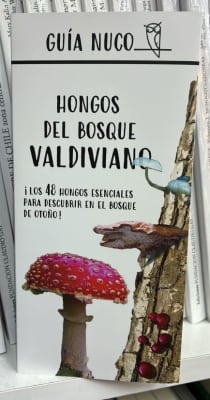 Guia Nuco. Hongos de bosque Valdiviano. Guia Plegable