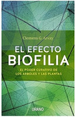 El efecto Biofilia: El poder curativo de los árboles y las plantas
