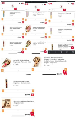 Pack Oferta Hornopirén