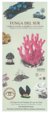 Guia Plegable Funga Del Sur