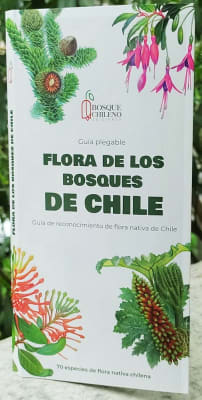 Guia Plegable Flora De Los Bosques Chilenos