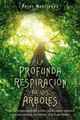 La Profunda respiracion de los Arboles