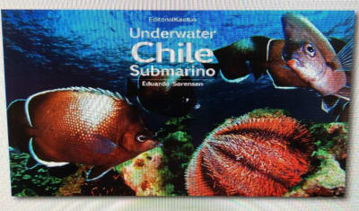 Chile Submarino - Underwater - Eduardo Sorensen