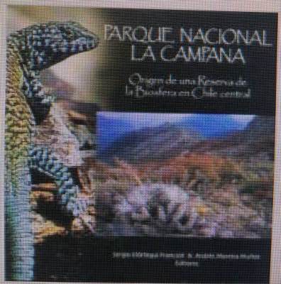 Parque Nacional La Campana, Origen de una Reserva de la Biosfera en Chile central
