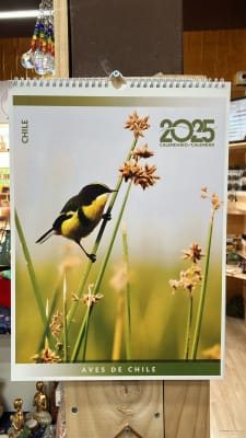 CALENDARIO MURAL 2025 AVES DE CHILE
