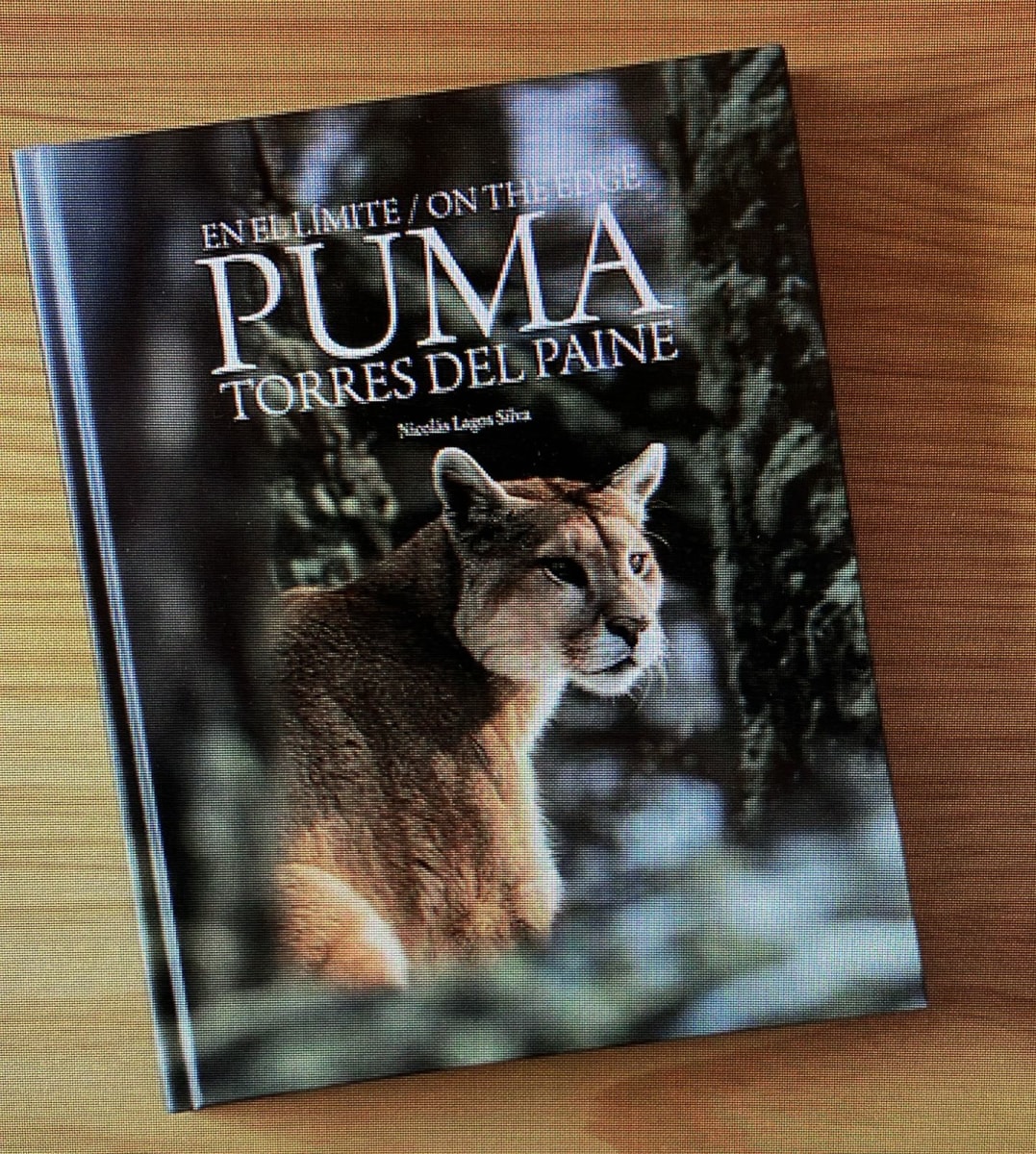 Puma En el límite, Torres del Paine1