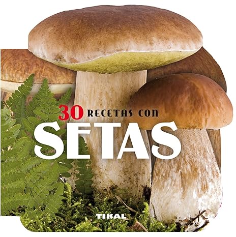 30 recetas con setas1