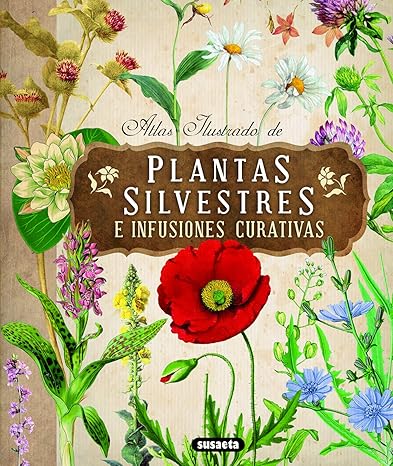Atlas Ilustrado de Plantas Silvestres e infusiones curativas1