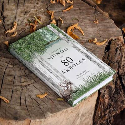 La vuelta al mundo en 80 árboles2