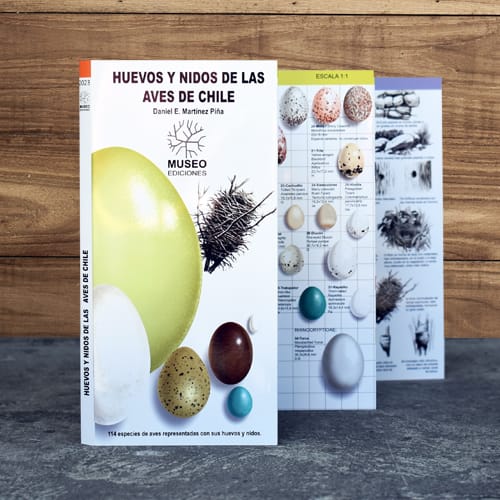 Guia Plegable Huevos Y Nidos De Las Aves De Chile1