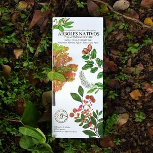 Guia De Campo Arboles Nativos Zona Central1