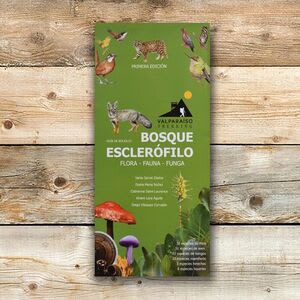 Guia Plegable Bosque Esclorófilo Flora, Fauna y Funga1