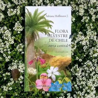 Flora Silvestre de Chile Zona Central - Adriana Hoffmann1