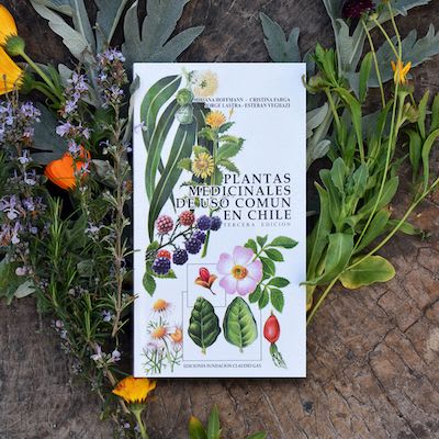 Plantas Medicinales De Uso Comun En Chile1