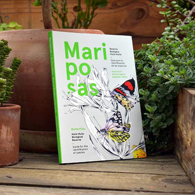 Mariposas de la reserva biológica Huilo Huilo1
