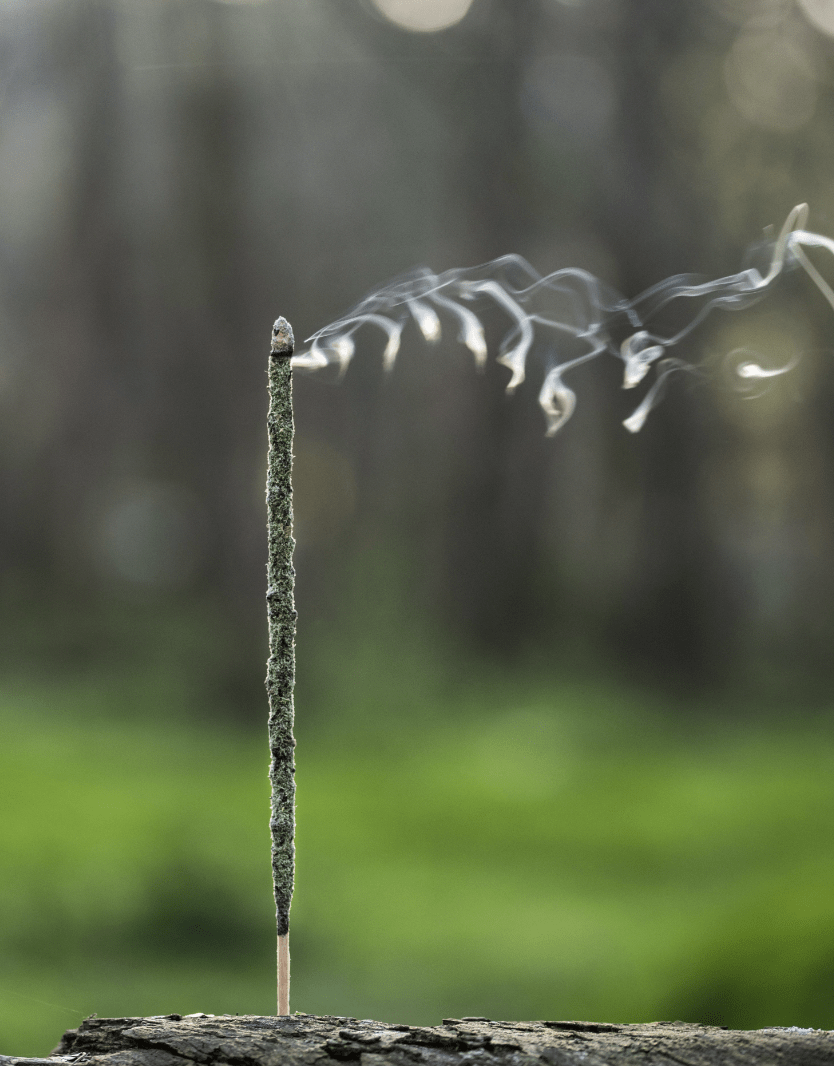 Sahumerio Gaia Blend Masala6