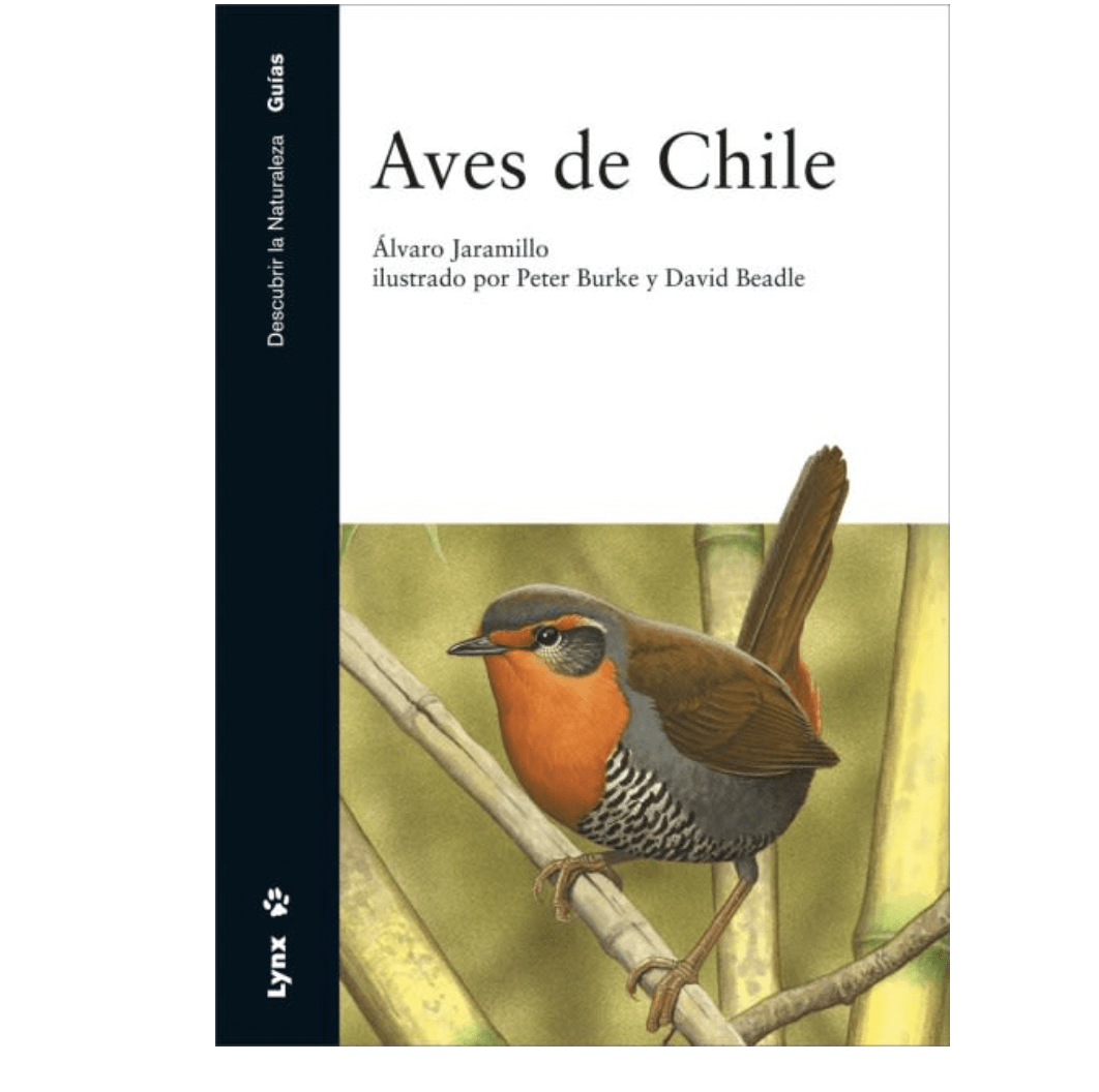 Aves De Chile - Jaramillo1