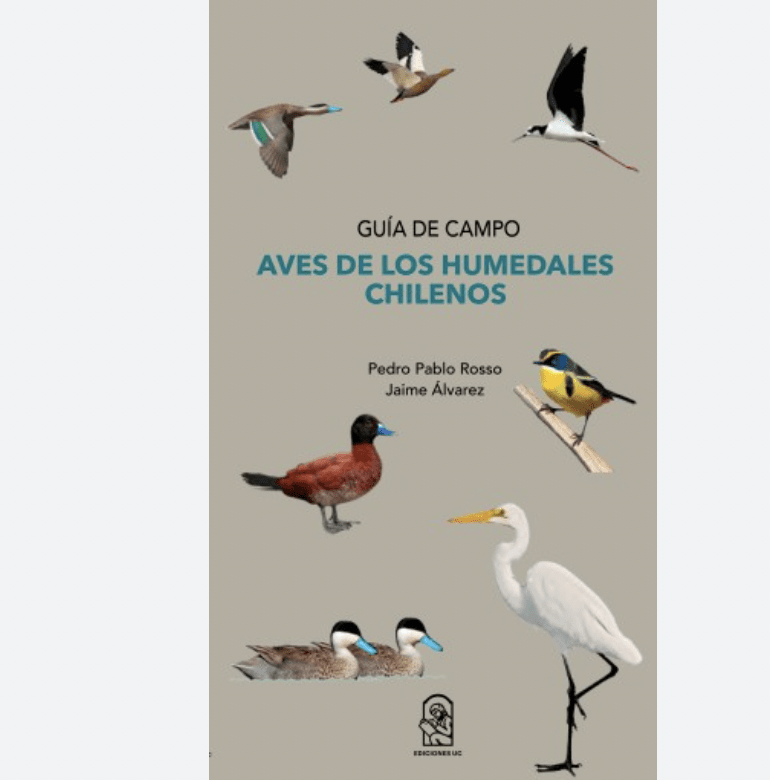 Aves De Los Humedales Chilenos. Guia De Campo1