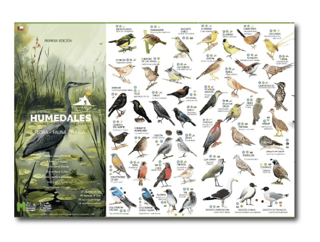 Guía de bolsillo Humedales de Chile Central2