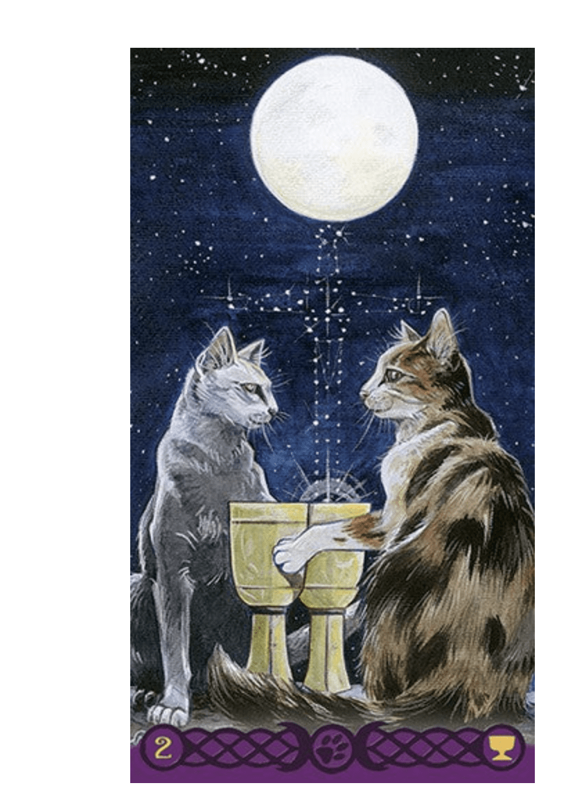 Tarot de los gatos paganos - Airaghi, Messina (Autor) · Lo Scarabeo4
