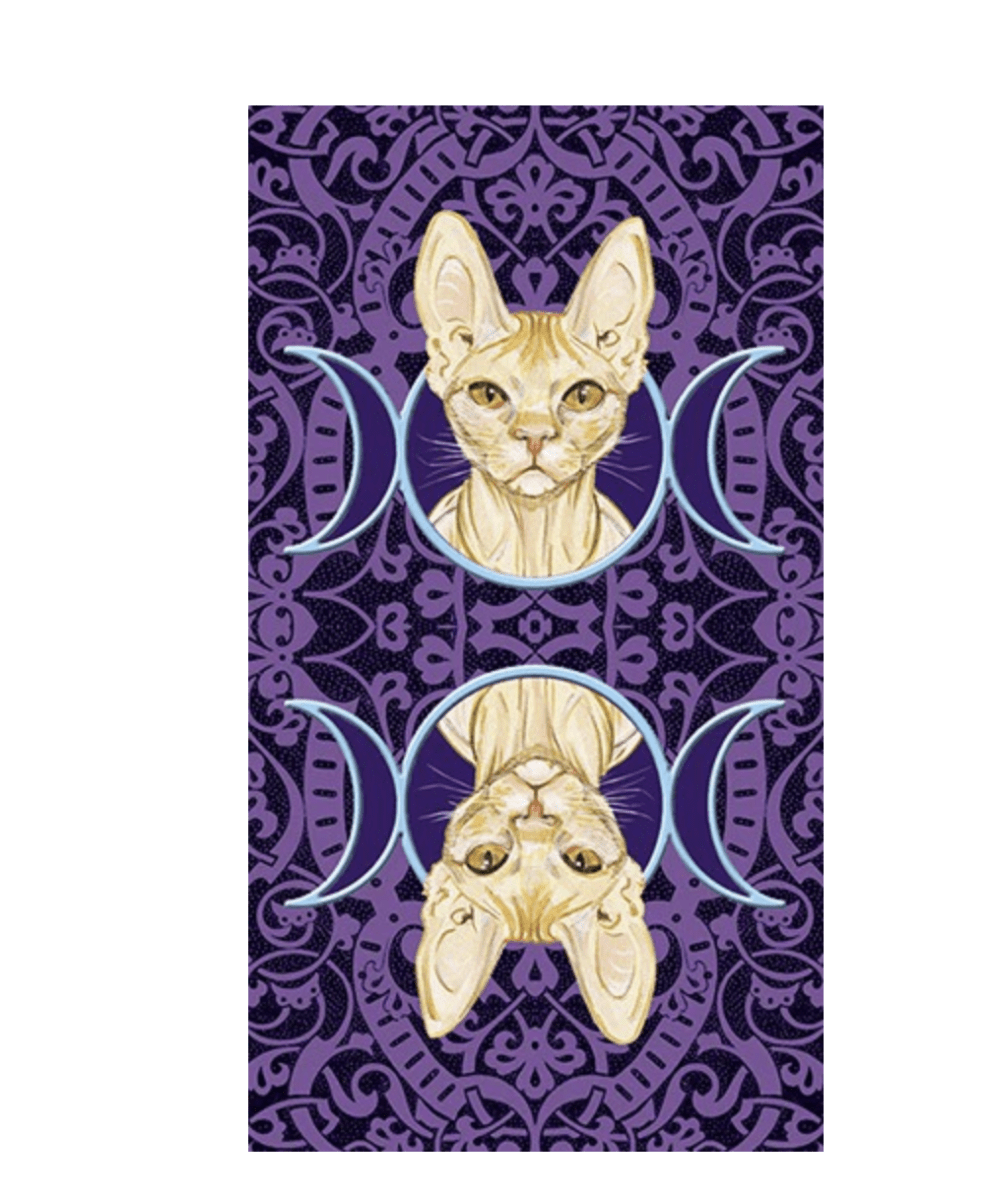 Tarot de los gatos paganos - Airaghi, Messina (Autor) · Lo Scarabeo1