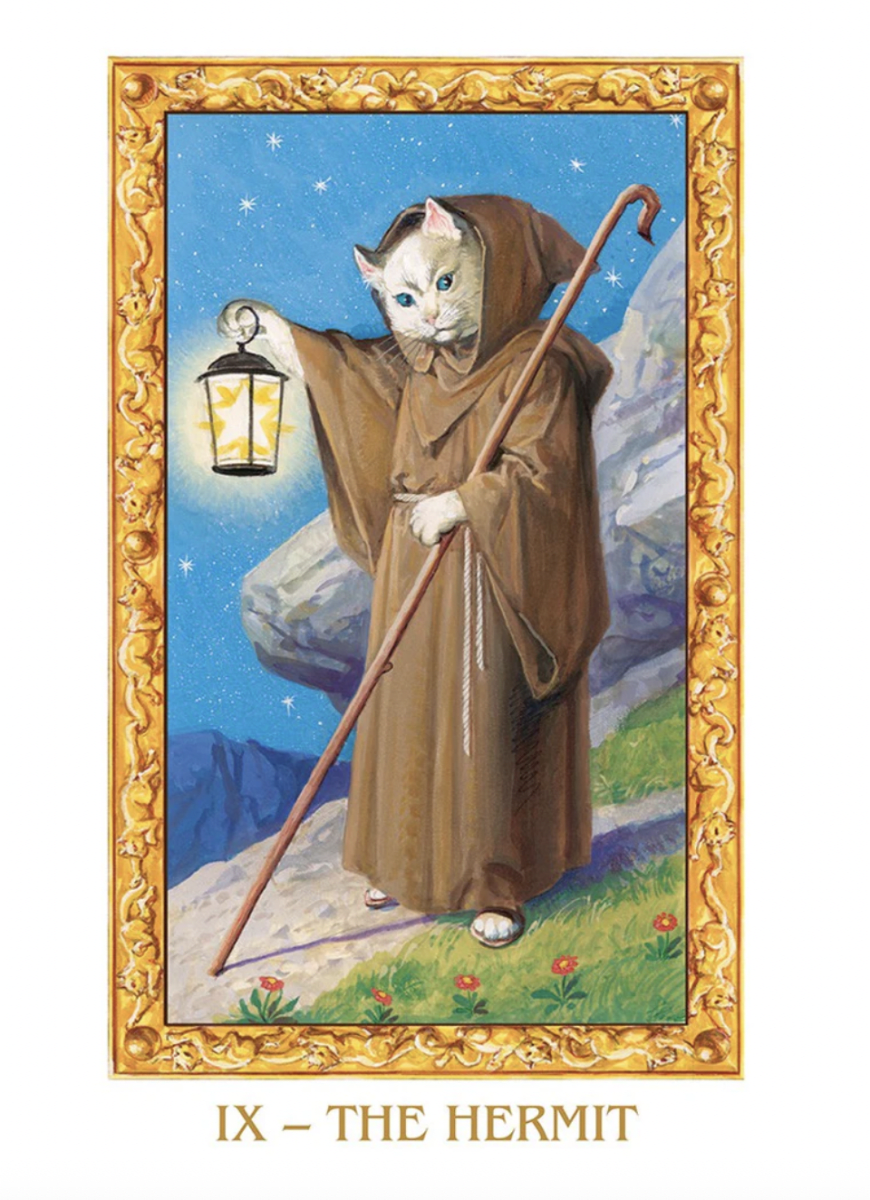 Tarot de los Gatos Blancos - Severino Baraldi (Autor) · Lo Scarabeo5