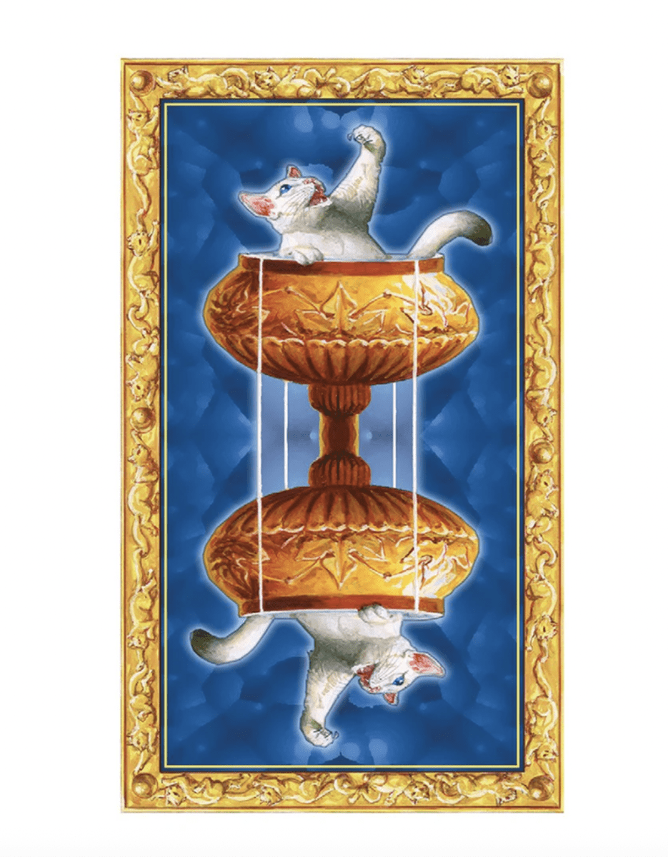 Tarot de los Gatos Blancos - Severino Baraldi (Autor) · Lo Scarabeo4