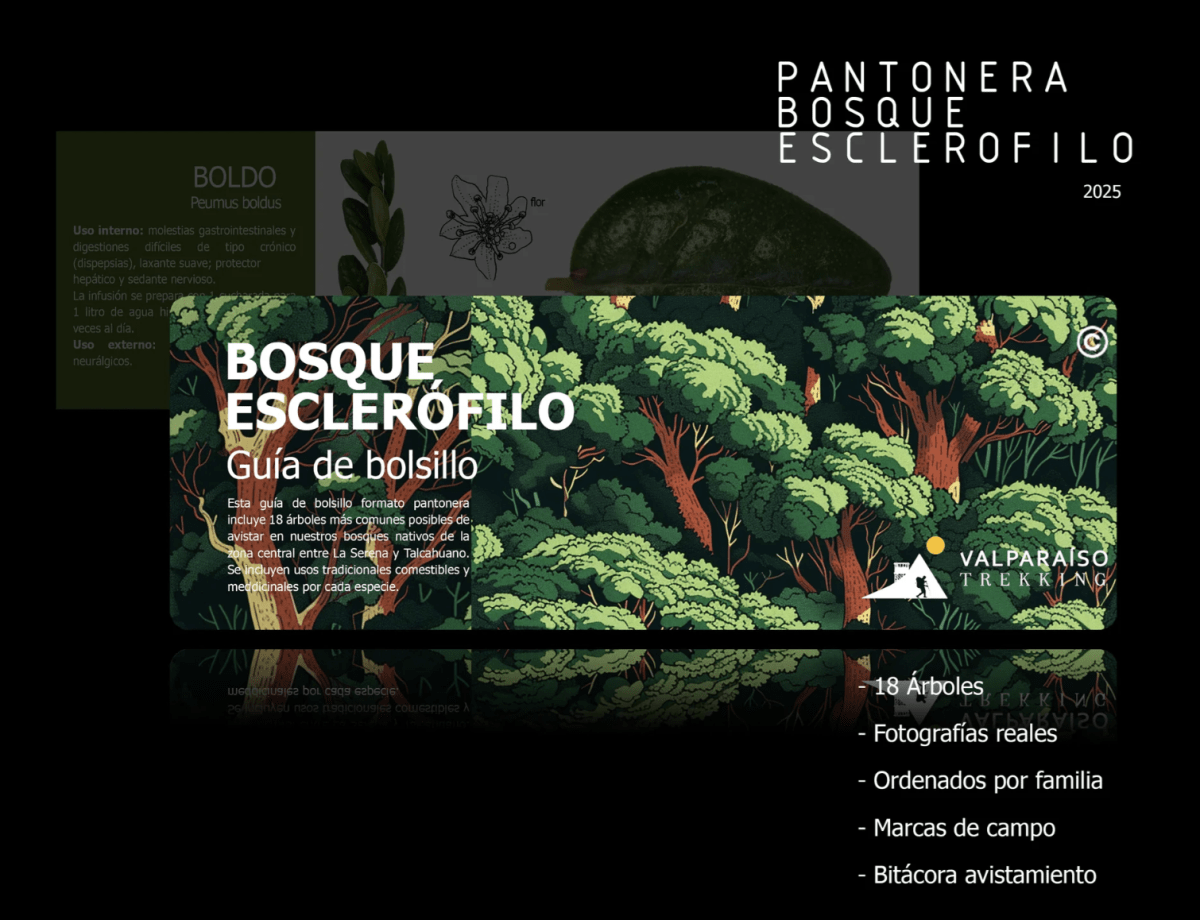 Pantonera Bosque Esclerofilo4
