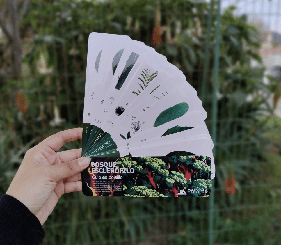 Pantonera Bosque Esclerofilo2