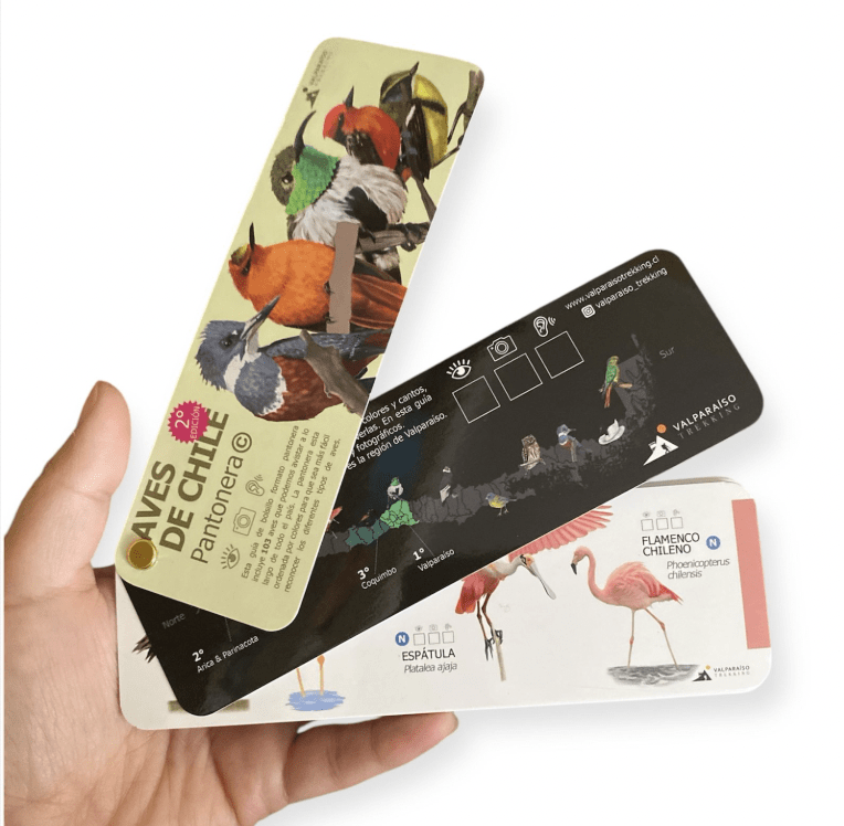 Pantonera aves de chile3