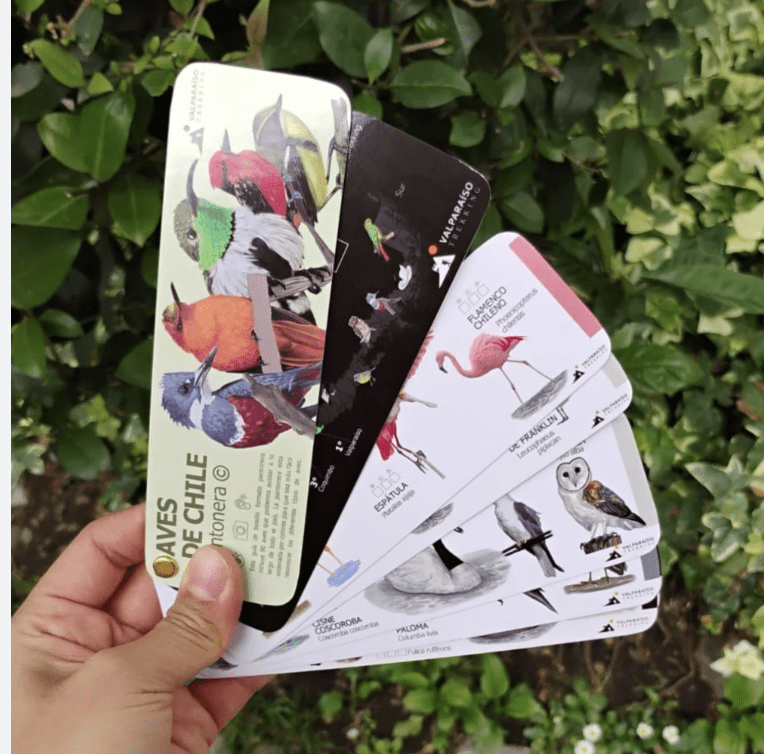 Pantonera aves de chile2