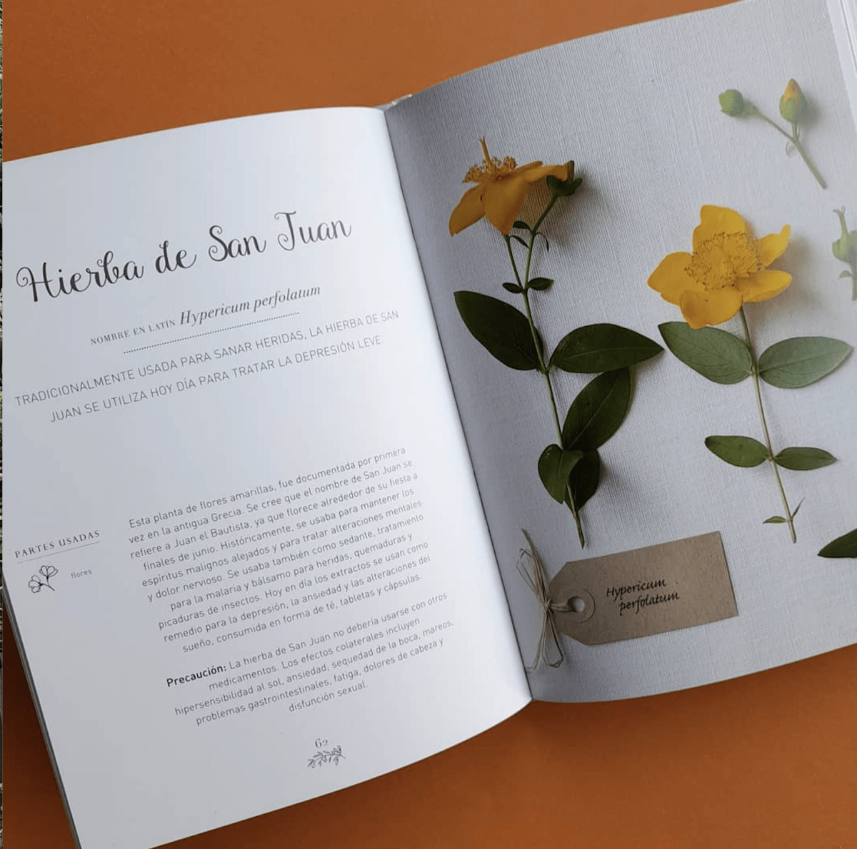 Hierbas Sagradas  Opal Streisand (Autor) · Contrapunto · Tapa Dura1