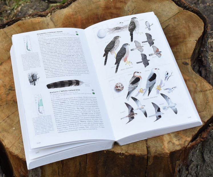 Aves de Chile: Guía de Campo. Segunda edición3