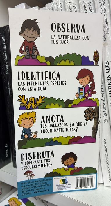 Guia Nuco. Hongos de bosque Valdiviano. Guia Plegable2