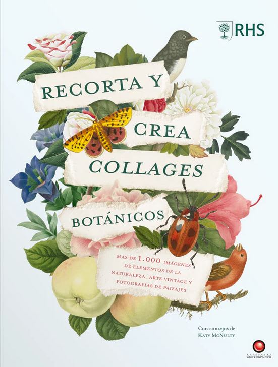 Recorta y crea collages botánicos1