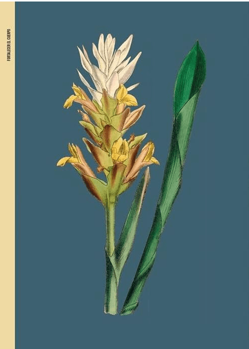 El Jardín del Boticario - Emma Wayland4