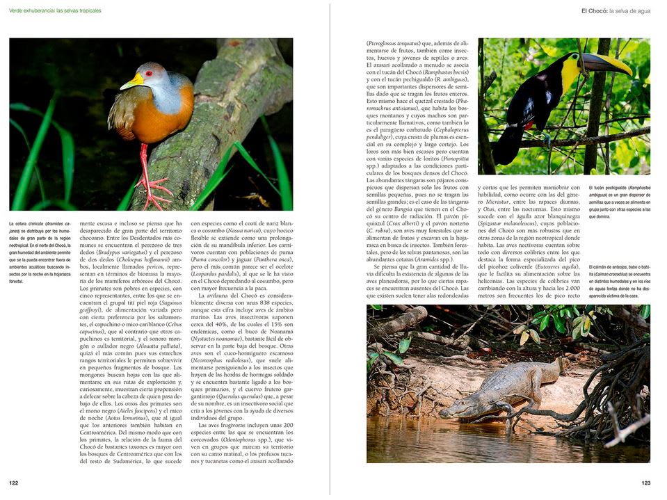 De Amazonia a Patagonia. Ecología de las regiones naturales de America de Sur2