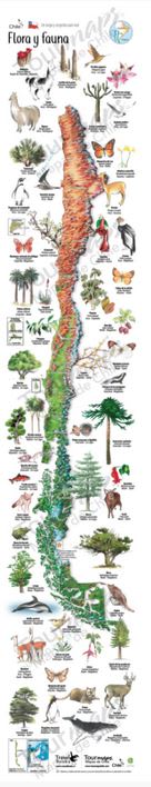 Mapa flora y fauna de Chile desplegable1