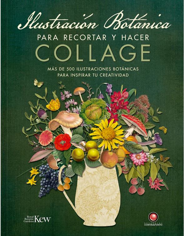 Ilustración botánica para recortar y hacer collage1