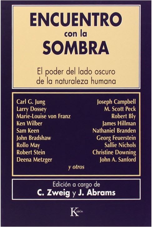 Encuentro con la sombra1