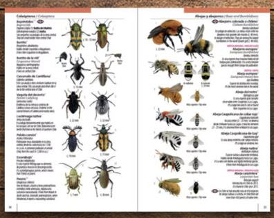 Chile: Una Guía Rápida  Verdugo Tartakowsky Rodrigo (Autor)4