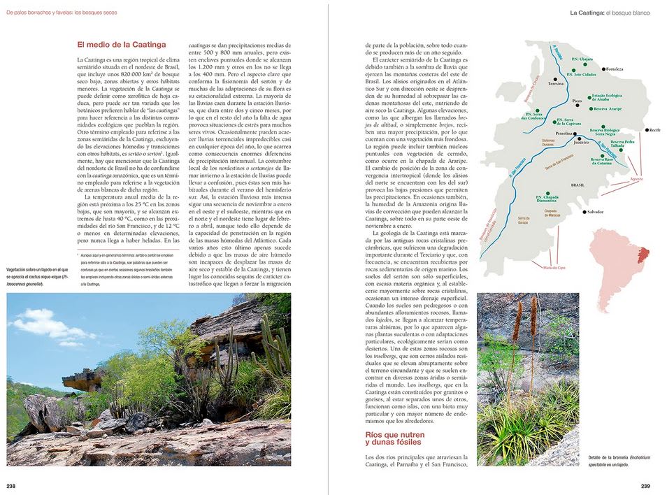 De Amazonia a Patagonia. Ecología de las regiones naturales de America de Sur4