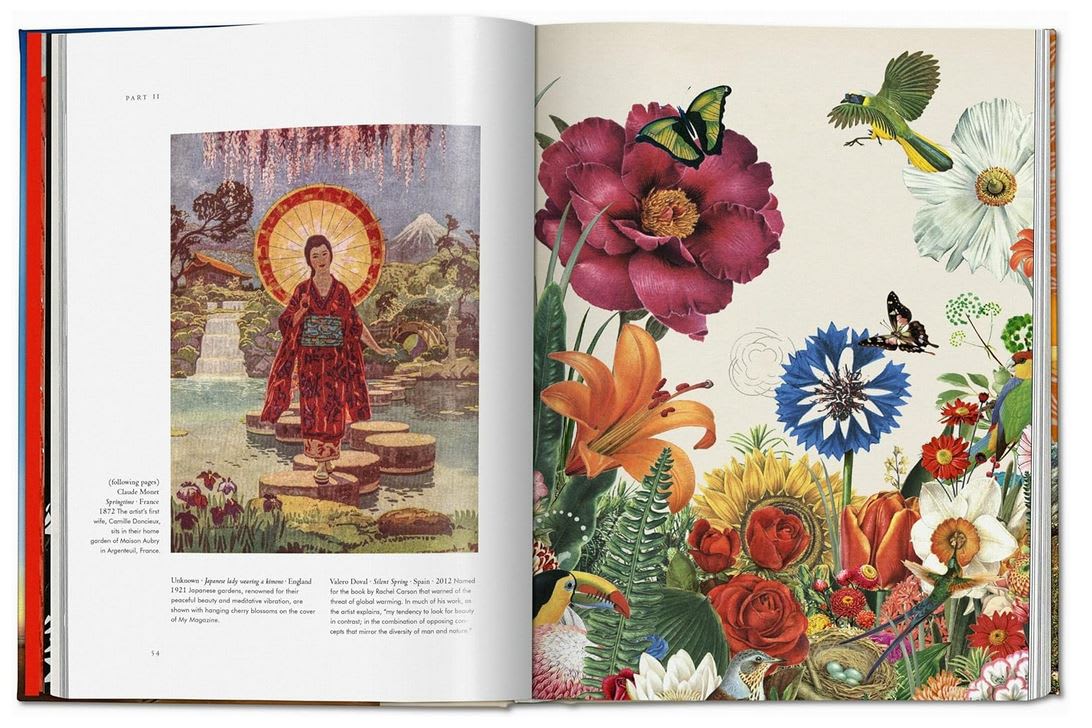 La magia de las plantas. La Biblioteca de Esoterismo1