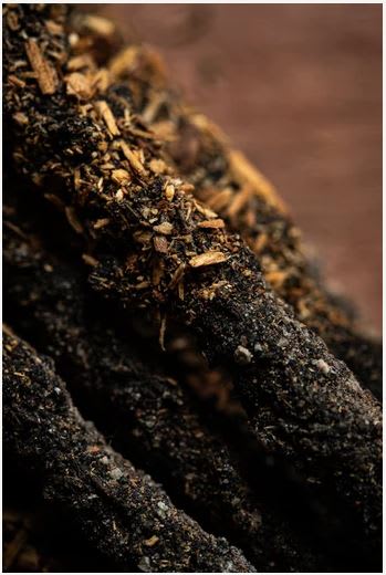 Sahumerio Natural Doble Copal y Palo Santo4