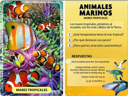 Anemales Marinos - Descubro y Juego3