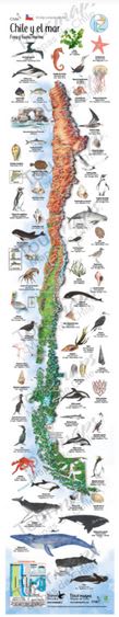 Mapa Chile y el mar1