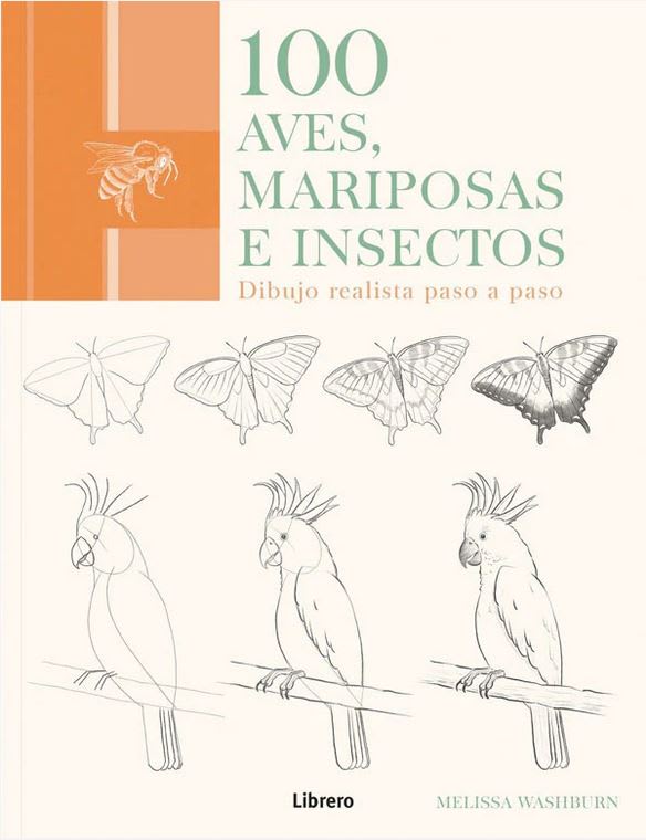 100 Aves, Mariposas e Insectos: Dibujo Realista Paso a Paso  Melissa Washburn (Autor) · Librero · Ta1