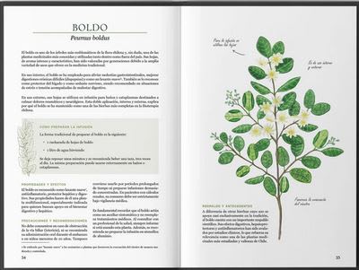 Plantas medicinales nativas de Chile5