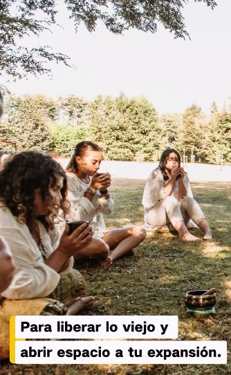 Taller Portal de Cierre 20255